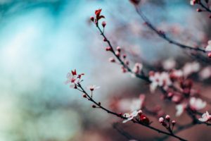 Accompagnement en extérieur : les séniors en pleine nature
